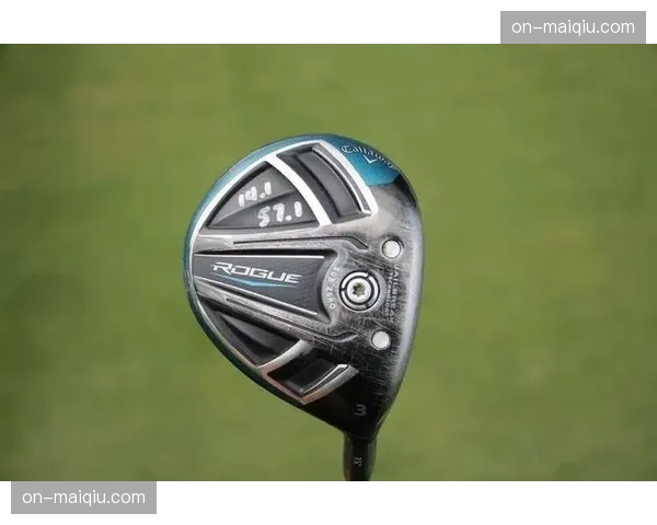 赞德·谢奥菲勒更换推杆型号,寻求解决赛季初果岭上的挣扎表现 赞德·谢奥菲勒更换推杆型号,寻求解决赛季初果岭上的挣扎表现