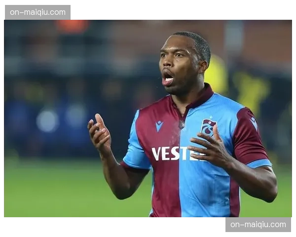 针对冰球博彩网站的非法投注调查扩大，数名职业球员接受问询